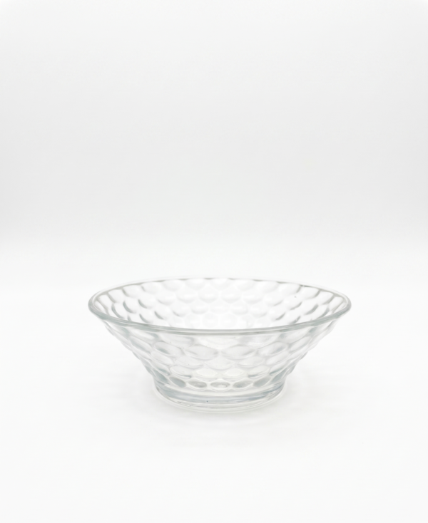 PLATO TRANSPARENTE