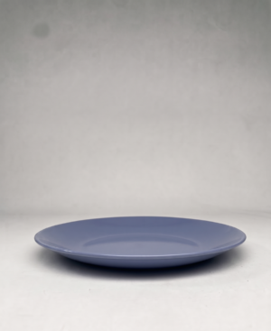 PLATO TENDIDO GRISACEO