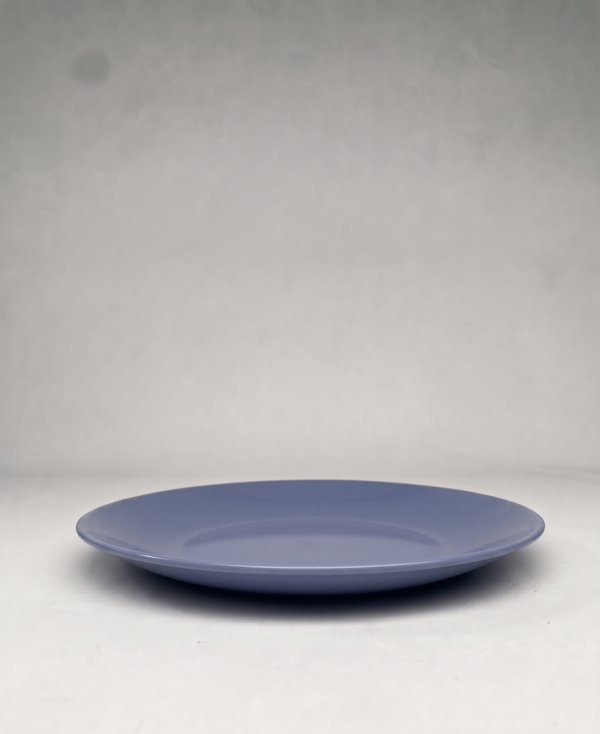 PLATO TENDIDO GRISACEO