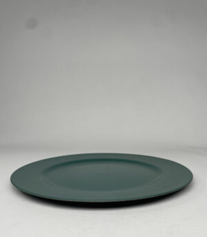 PLATO TENDIDO VERDE