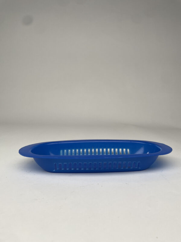 BANDEJA PLASTICA