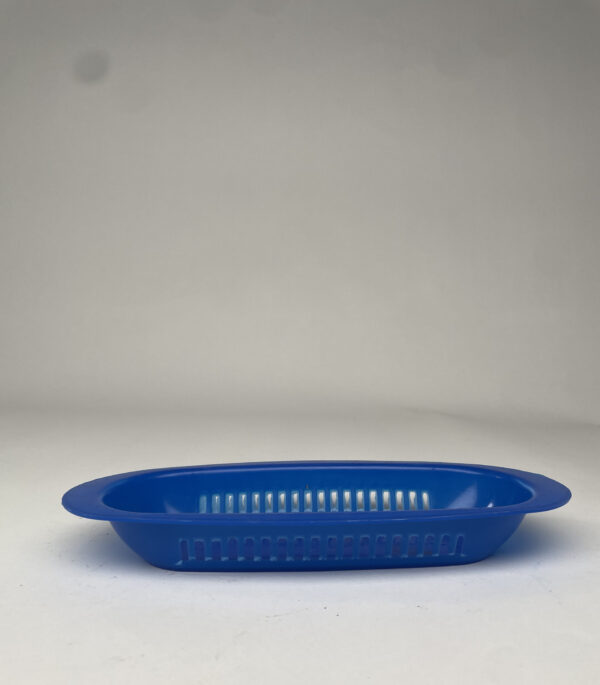 BANDEJA PLASTICA