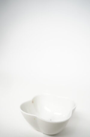 RECIPIENTE BLANCO