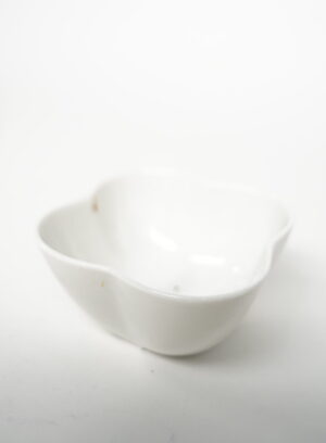 RECIPIENTE BLANCO