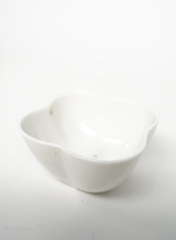 RECIPIENTE BLANCO
