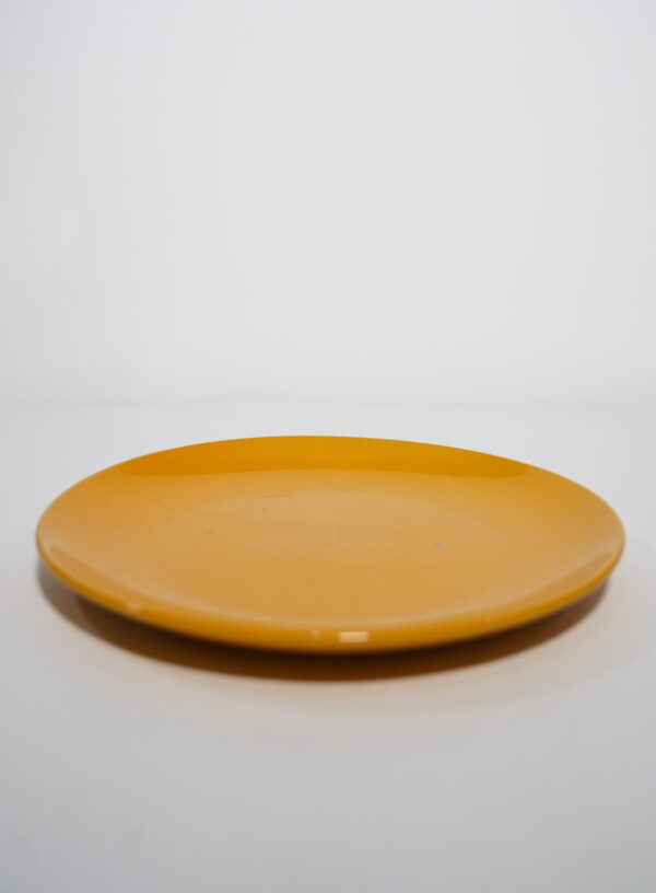 PLATO TENDIDO